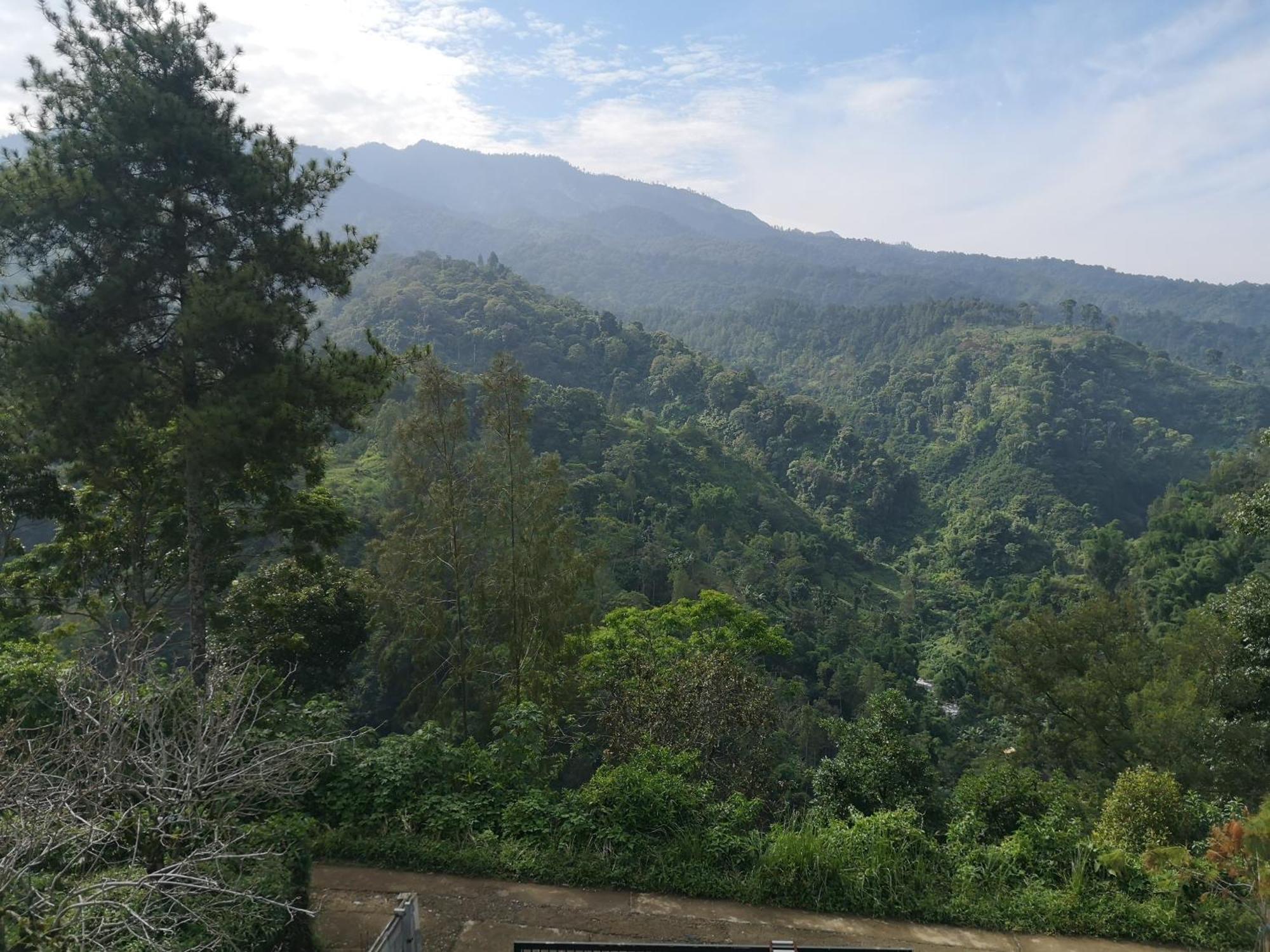 Maison Manendra - Bromo مالانغ المظهر الخارجي الصورة